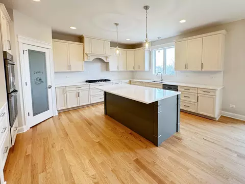 Kitchen - 23069 Devonshire Ln, Frankfort, IL 60423 photo 2 of 3