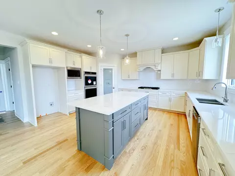 Kitchen - 23069 Devonshire Ln, Frankfort, IL 60423 photo 1 of 3
