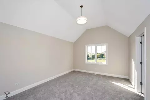 Other - 23069 Devonshire Ln, Frankfort, IL 60423 photo 22 of 43