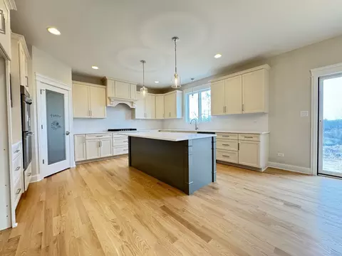 Kitchen - 23069 Devonshire Ln, Frankfort, IL 60423 photo 3 of 3