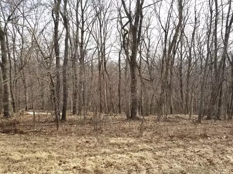 lot1147 Sunrise Ct, Varna, IL 61375