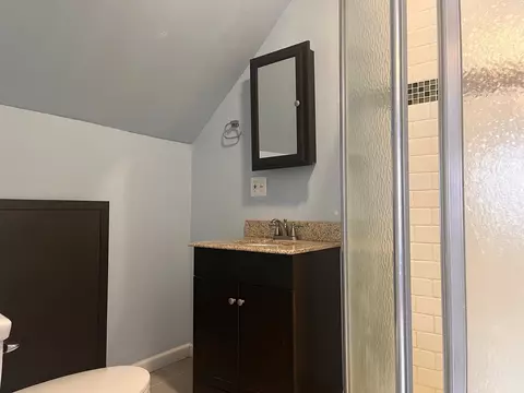 Bath - 3335 Loverock Ave, Steger, IL 60475 photo 4 of 5
