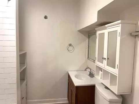 Bath - 3335 Loverock Ave, Steger, IL 60475 photo 2 of 5