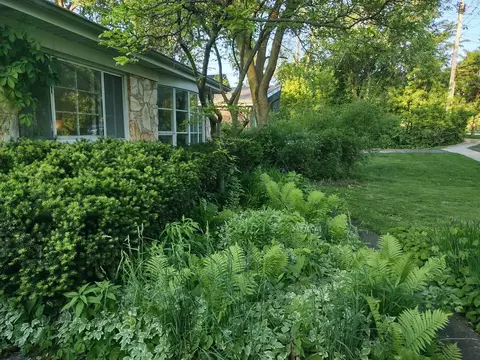 132 Glenview Rd, Glenview, IL 60025 photo 4
