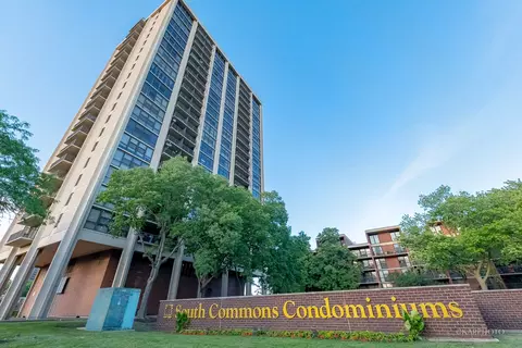 2901 S Michigan Ave #1202, Chicago, IL 60616