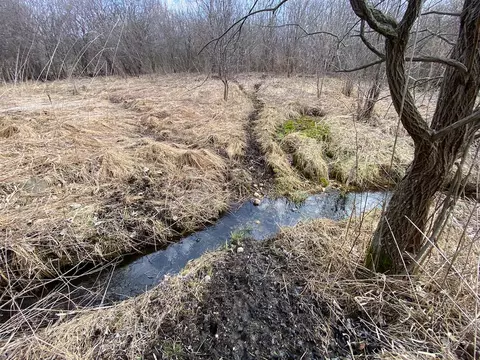 0000 Green Rd, Harvard, IL 60033 photo 23