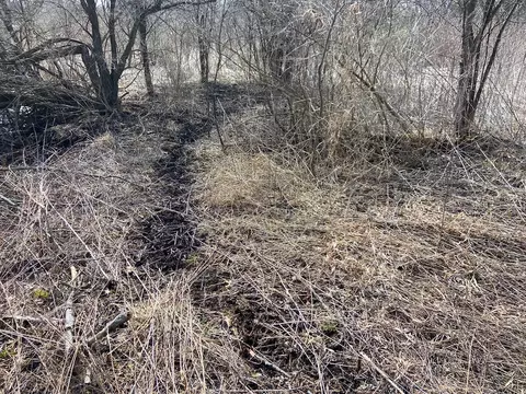 0000 Green Rd, Harvard, IL 60033 photo 27
