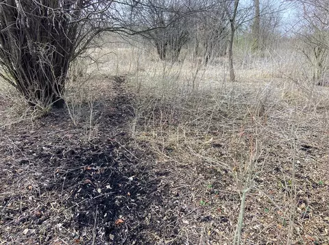 0000 Green Rd, Harvard, IL 60033 photo 21