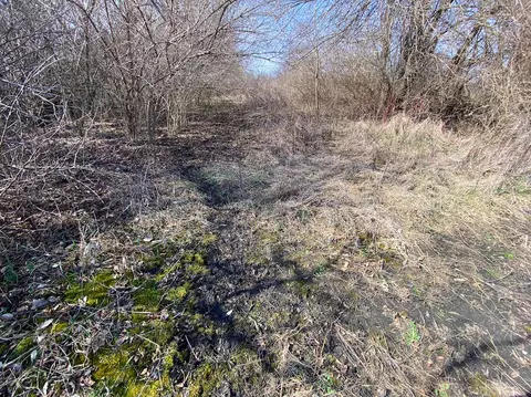 0000 Green Rd, Harvard, IL 60033 photo 18