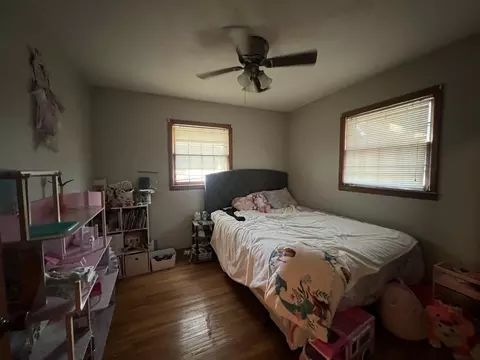 227 Truman Ave, Lanark, IL 61046 photo 9