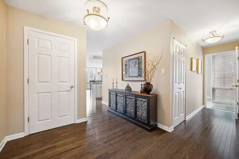 111 E Chestnut St #20K, Chicago, IL 60611 photo 11