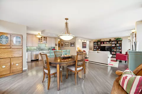 111 E Chestnut St #20K, Chicago, IL 60611 photo 10