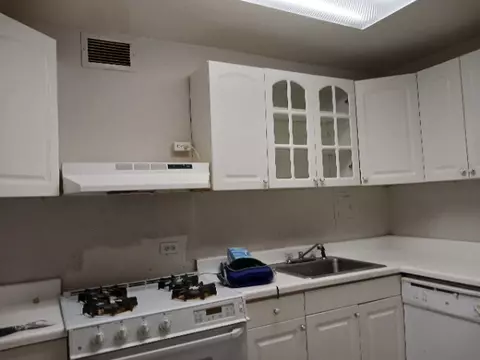 1450 E 55th Pl #421S, Chicago, IL 60637 photo 3