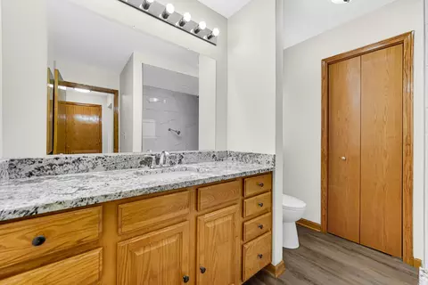 Bath - 25955 Oak Rd, Monee, IL 60449 photo 1 of 3