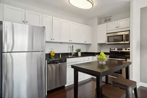 33 E Cedar St #10F, Chicago, IL 60611 photo 6