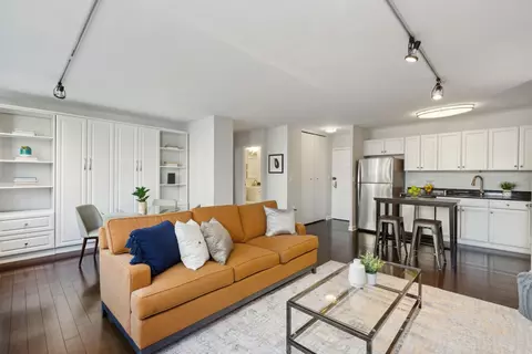 33 E Cedar St #10F, Chicago, IL 60611 photo 4