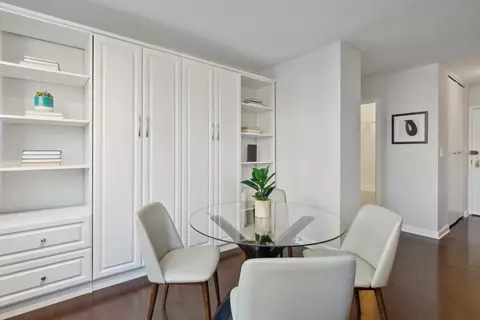 33 E Cedar St #10F, Chicago, IL 60611 photo 7