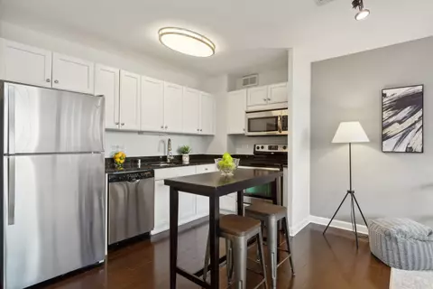 33 E Cedar St #10F, Chicago, IL 60611 photo 5