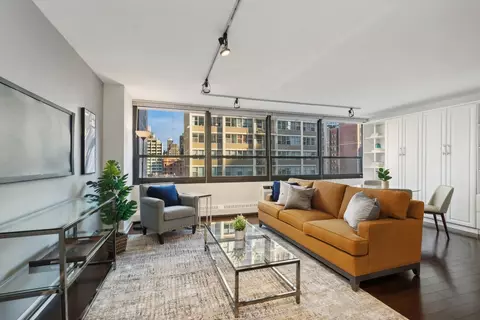 33 E Cedar St #10F, Chicago, IL 60611 photo 3