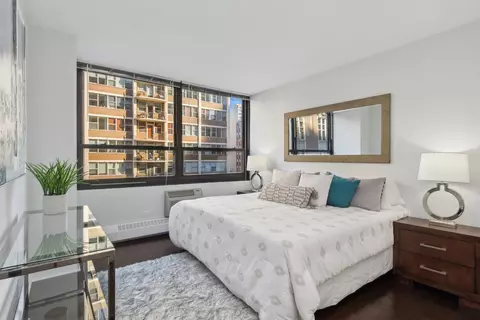 33 E Cedar St #10F, Chicago, IL 60611 photo 10