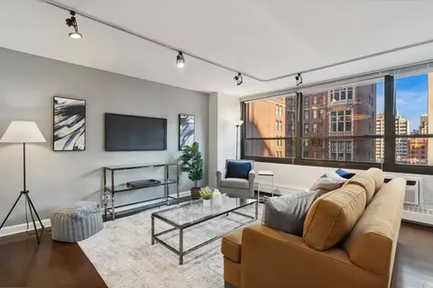 33 E Cedar St #10F, Chicago, IL 60611 photo 2