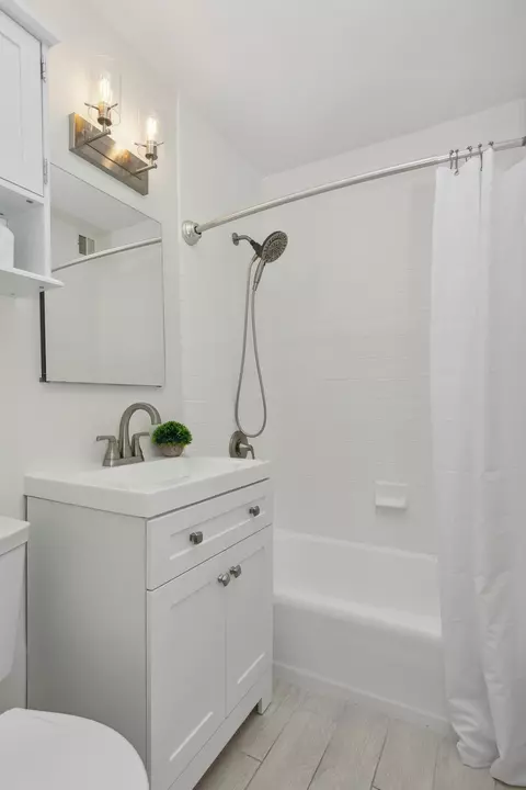 33 E Cedar St #10F, Chicago, IL 60611 photo 12