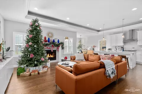 Living - 3589 Harmony Cir, Elgin, IL 60124 photo 1 of 4
