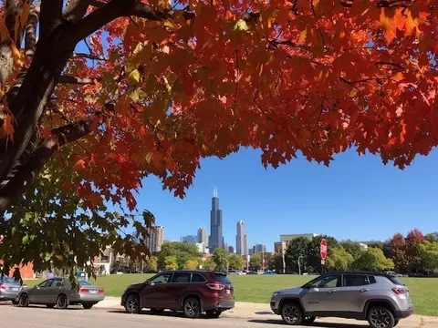 1301 W Fillmore St #A, Chicago, IL 60607 photo 17