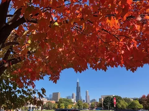 1301 W Fillmore St #A, Chicago, IL 60607 photo 18