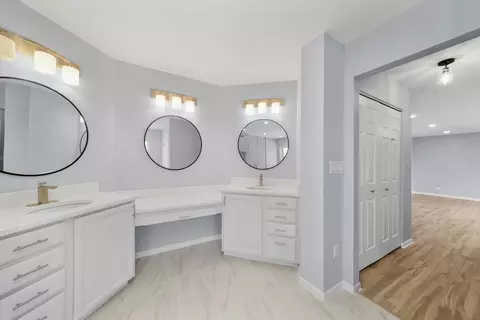 Bath - 5336 Shotkoski Dr, Hoffman Estates, IL 60192 photo 4 of 5