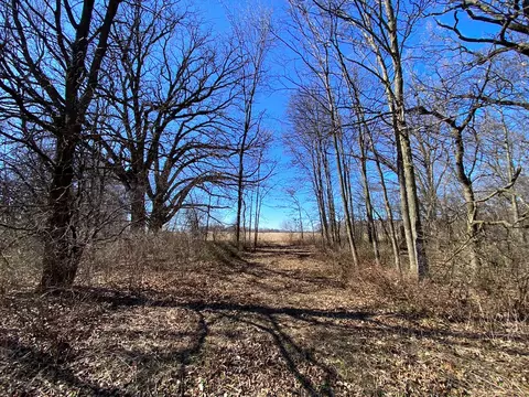 23200 Streit Rd, Harvard, IL 60033 photo 25