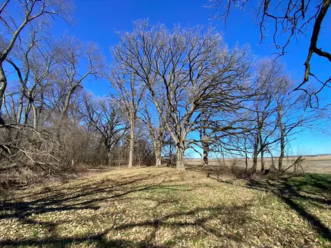 23200 Streit Rd, Harvard, IL 60033 photo 20