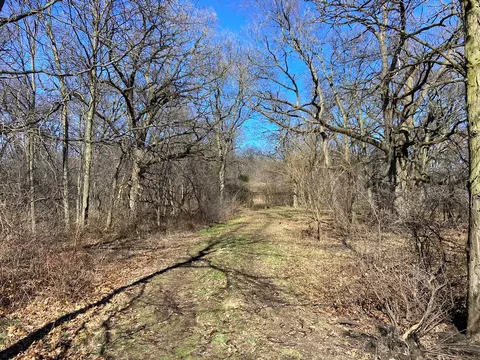 23200 Streit Rd, Harvard, IL 60033 photo 27