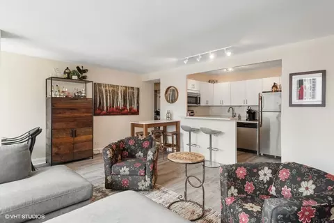 Living - 33 E Cedar St #19D, Chicago, IL 60611 photo 3 of 5