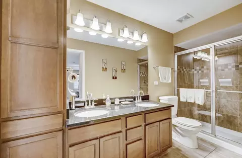 Bath - 20108 Aegina Dr, Olympia Fields, IL 60461 photo 5 of 5