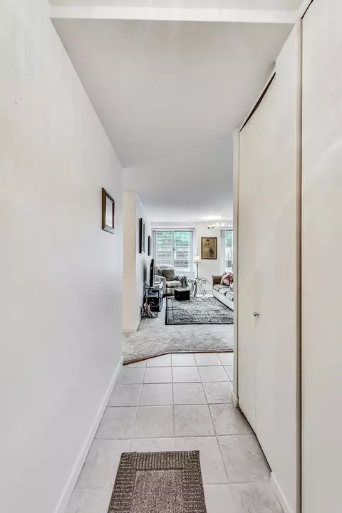 211 E Ohio St #1516, Chicago, IL 60611 photo 8