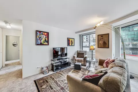 211 E Ohio St #1516, Chicago, IL 60611 photo 11