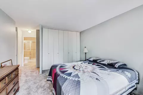 211 E Ohio St #1516, Chicago, IL 60611 photo 20