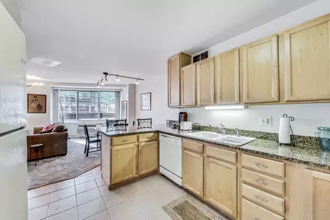 211 E Ohio St #1516, Chicago, IL 60611 photo 17