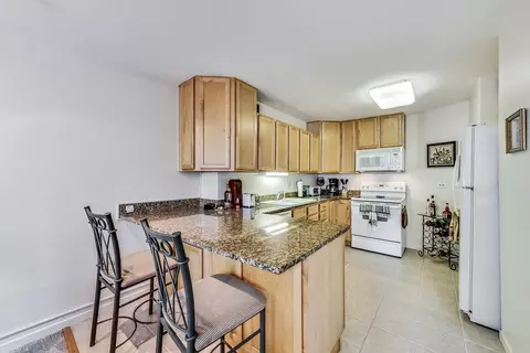 211 E Ohio St #1516, Chicago, IL 60611 photo 15