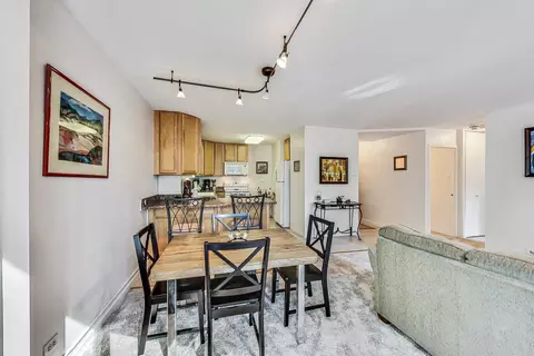 211 E Ohio St #1516, Chicago, IL 60611 photo 14