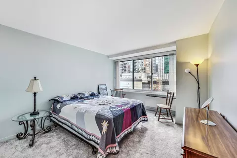 211 E Ohio St #1516, Chicago, IL 60611 photo 18