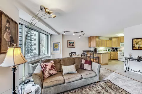 211 E Ohio St #1516, Chicago, IL 60611 photo 10