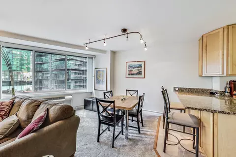 211 E Ohio St #1516, Chicago, IL 60611 photo 12