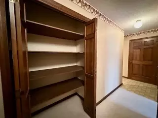 Other - 650 E Meyer St, Monticello, IL 61856 photo 13 of 18