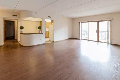 1325 Perry St #308, Des Plaines, IL 60016 photo 4