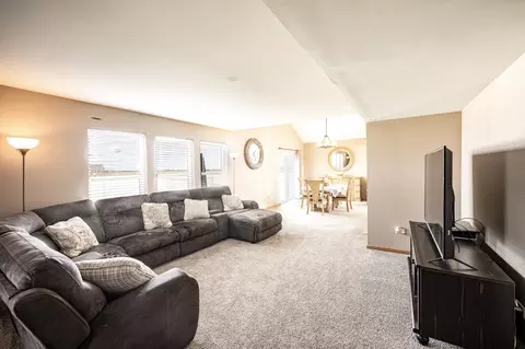 7705 Briarcliff Dr, Plainfield, IL 60586 photo 9