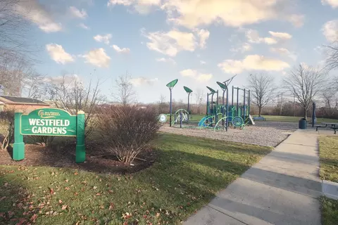 Other - 33 E Walnut Ave, Des Plaines, IL 60016 photo 15 of 15