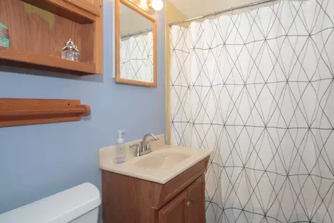 Bath - 33 E Walnut Ave, Des Plaines, IL 60016 photo 2 of 2