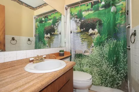 Bath - 33 E Walnut Ave, Des Plaines, IL 60016 photo 1 of 2